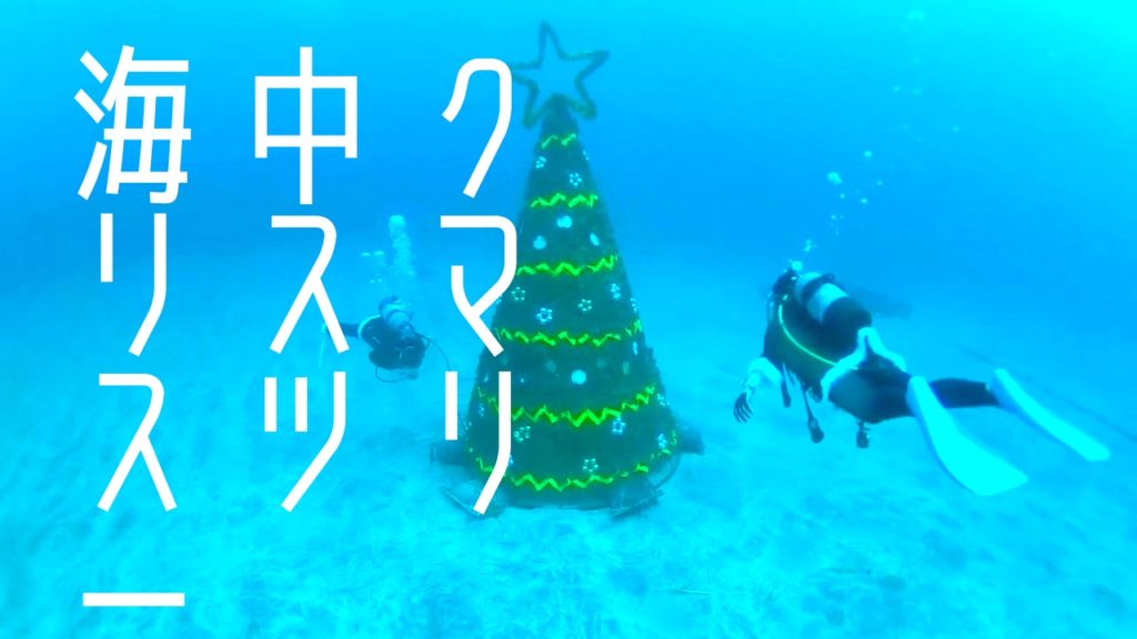 伊豆海洋公園海中クリスマスツリーを見にダイビングする！