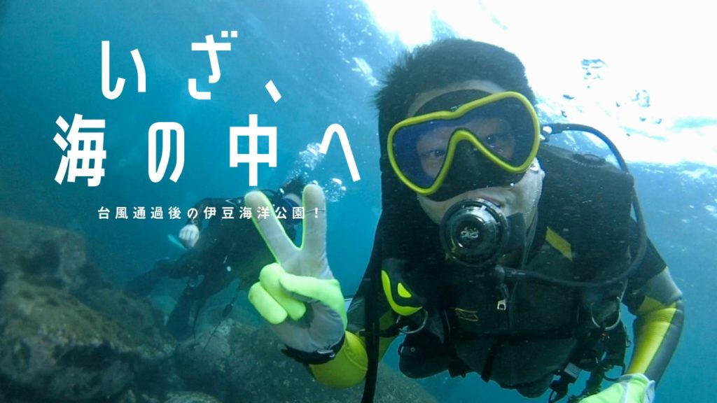 台風8号通過後の伊豆海洋公園で潜るダイバー