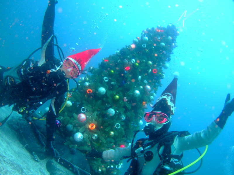 伊豆海洋公園水中クリスマスツリー！