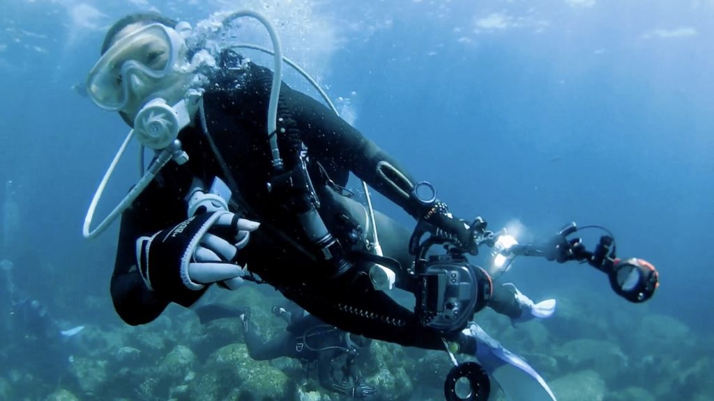 伊豆海洋公園を潜るクールなフォト派ダイバーです。