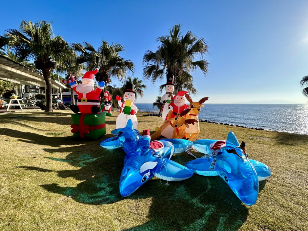 伊豆海洋公園IOPクリスマス、サンタクロースに扮したダイバーで賑やか