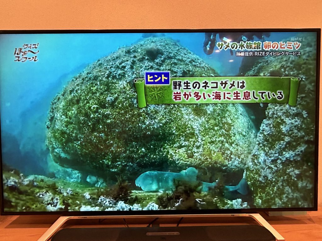 NHK Eテレ出川哲朗のふぉースクールにほんの少しですが動画提供しました。