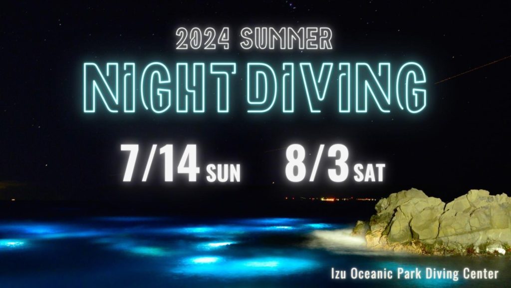 伊豆海洋公園夏のナイトダイビング開催日のお知らせ IOP夏のナイトダイビング